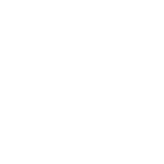 Digital twin development