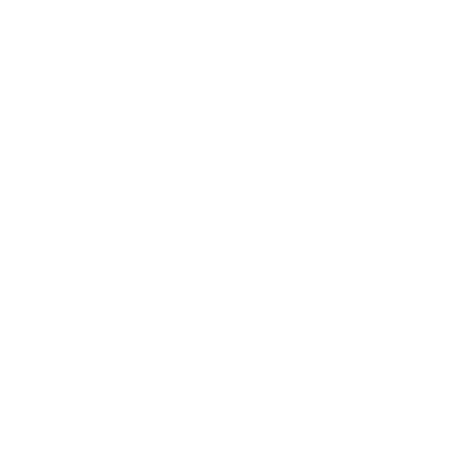 Video Work Instructions